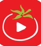 番茄小说